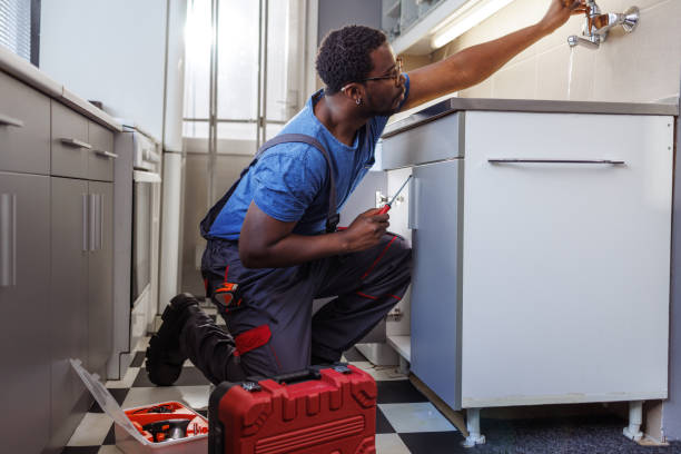 Best Affordable Plumbing Services  in Nowthen, MN